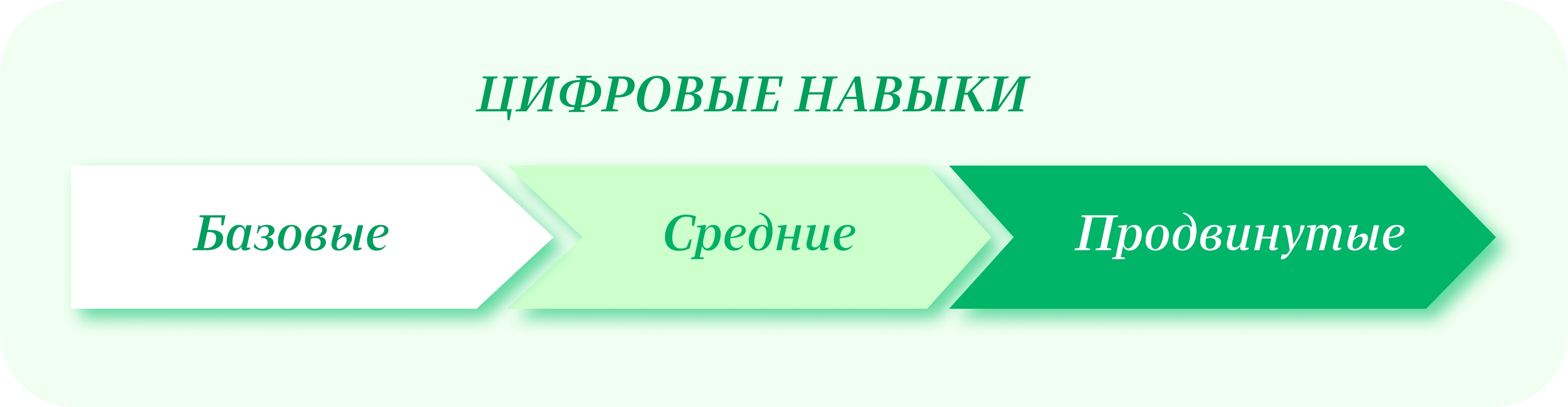 Цифровые навыки: какие бывают и зачем их нужно развивать — Edutoria Блог